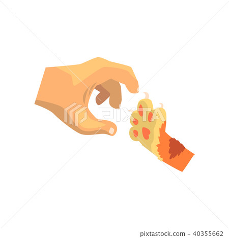 Human hand and cat paw, friends forever, training, veterinary care concept vector Illustration on a Human hand and cat paw, friends forever, training, veterinary care concept vector Illustration on a 40355662