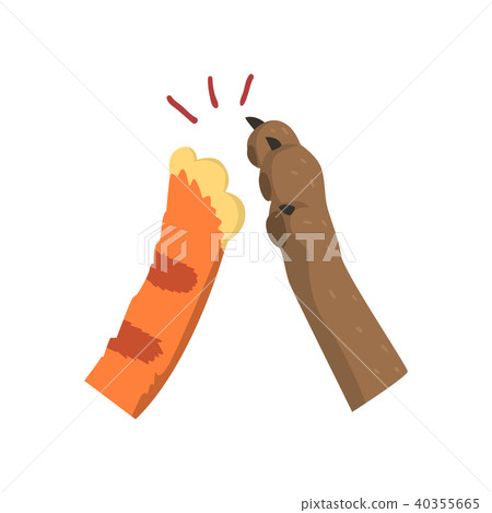 Cat and dog paw bumping together, friends forever, veterinary care concept vector Illustration on a Cat and dog paw bumping together, friends forever, veterinary care concept vector Illustration on a 40355665