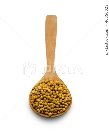 Pile of coriander seeds.(clipping path) Pile of coriander seeds.(clipping path) 40356025