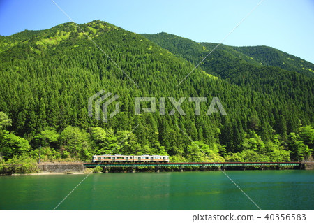 Takayama main line of fresh green 40356583