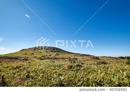 Halla Mountain, Jeju Island, Korea Halla Mountain, Jeju Island, Korea 40356992