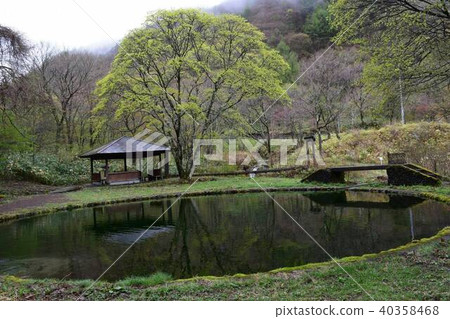 Early summer landscape 40358468