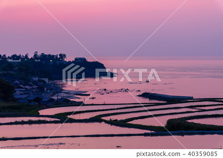  Evening landscape of rice terraces 40359085