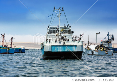 birds on board vessels 40359508