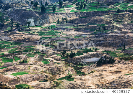 agricultural fields 40359527