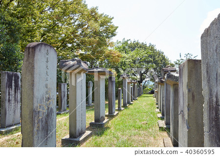 Tongyeong-si, Tongyeong-si, Korea 40360595