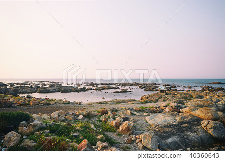 Homigot, Pohang, Korea Homigot, Pohang, Korea 40360643