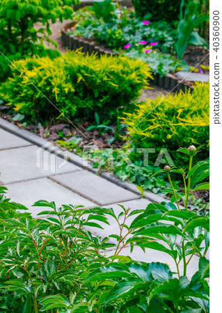 Beautiful Home garden Allotment in spring Beautiful Home garden Allotment in spring 40360900