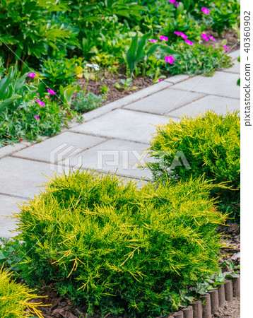 Beautiful Home garden Allotment in spring Beautiful Home garden Allotment in spring 40360902