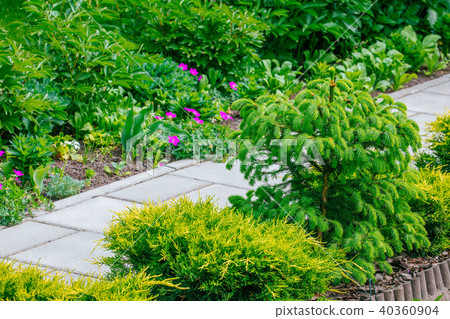 Beautiful Home garden Allotment in spring Beautiful Home garden Allotment in spring 40360904