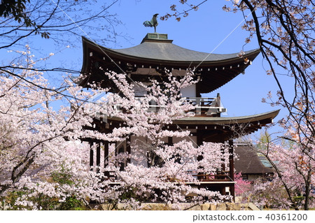 Kyoto Spring Buddhist temple Kyoto Spring Buddhist temple 40361200