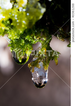 Ice and drops 40361288