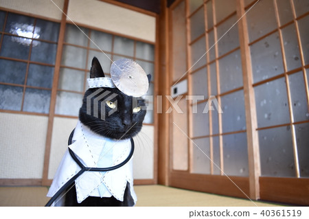 Photo of a black cat doing cosplay (doctor) Photo of a black cat doing cosplay (doctor) 40361519