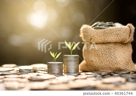 Two rows of coins and seedlings growing on top. Two rows of coins and seedlings growing on top. 40361744