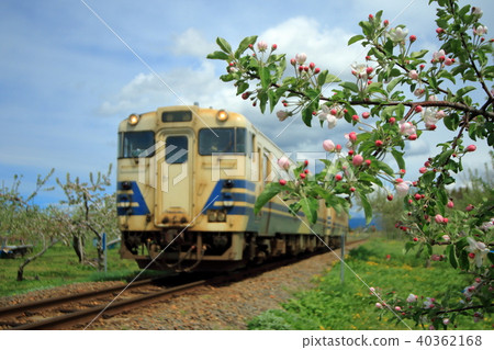 Local trains to go to the apple fields in the spring line Local trains to go to the apple fields in the spring line 40362168