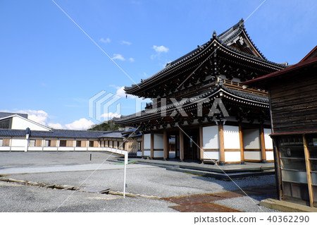 Shihokita Peninsula Spring Koreyama Reijo Shihokita Peninsula Spring Koreyama Reijo 40362290