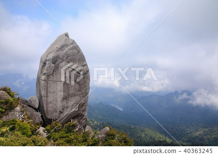 Spring Yakushima World Natural Heritage Site Tadachudake Peak Tencho Stone Spring Yakushima World Natural Heritage Site Tadachudake Peak Tencho Stone 40363245