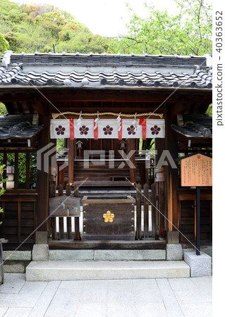 The main hall of Kitano Tenma Shrine (Kobe, Kitano) 40363652