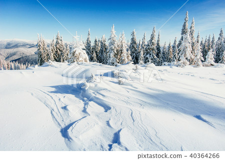 winter landscape trees snowbound winter landscape trees snowbound 40364266