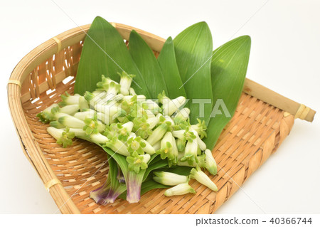 Delicacy Amadokoro flower Delicacy Amadokoro flower 40366744