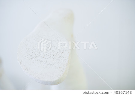 假肢和矯形器 40367148