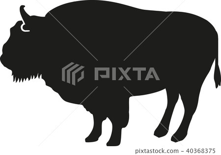 Bison silhouette 40368375