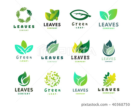 Green leaf eco design friendly nature elegance symbol and natural element ecology organic vector 40368750