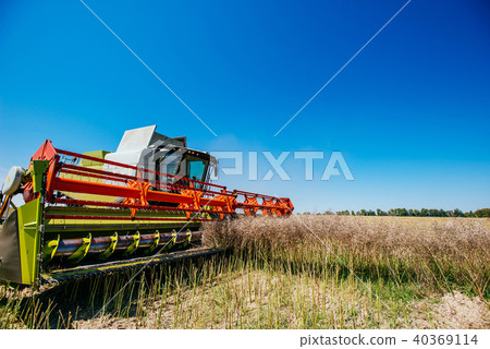Working Harvesting Combine in the Field of Wheat Working Harvesting Combine in the Field of Wheat 40369114