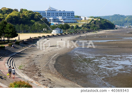 Itoigahama Beach Park Oita Prefecture Itoigahama Beach Park Oita Prefecture 40369343