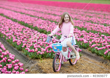 Child on bike in tulip field. Bicycle in Holland. Child on bike in tulip field. Bicycle in Holland. 40369877