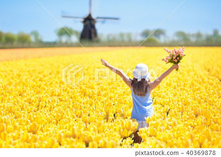 Kids in tulip flower field. Windmill in Holland Kids in tulip flower field. Windmill in Holland 40369878