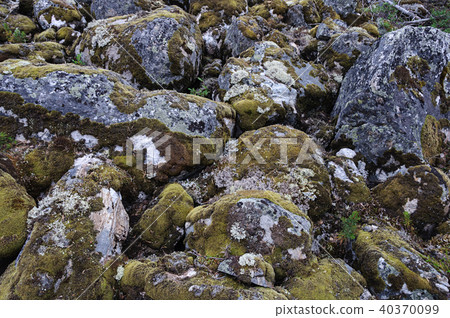 Mossy boulders in tundra 40370099