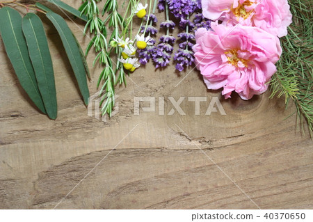 Scented plants Scented plants 40370650