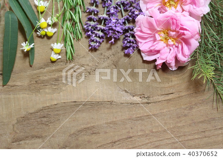 有氣味的植物 40370652