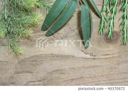 有氣味的植物 40370872