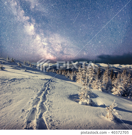 starry sky in winter snowy night. fantastic milky way starry sky in winter snowy night. fantastic milky way 40372705