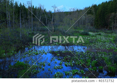 Chokai Mountain水籃球布料 40372732