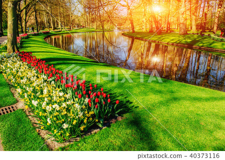 lovely spring landscape park. Blooming flowers. Sicily. Italy. Europe lovely spring landscape park. Blooming flowers. Sicily. Italy. Europe 40373116