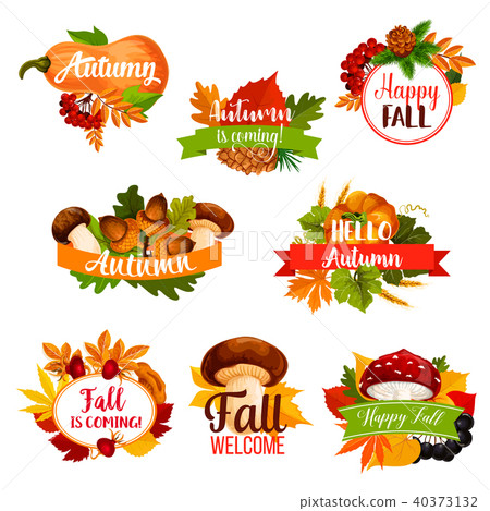 Autumn vector icon of fall leaf, pumpkin, acorn 40373132