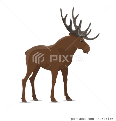Elk moose vector wild animal isolated icon Elk moose vector wild animal isolated icon 40373136