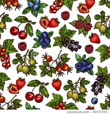 Vector set of colorful berries Vector set of colorful berries 40373345