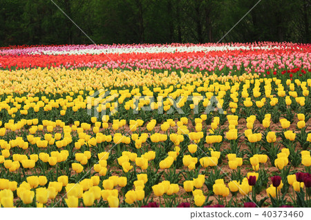 Computer 9535 Computer 9535 40373460