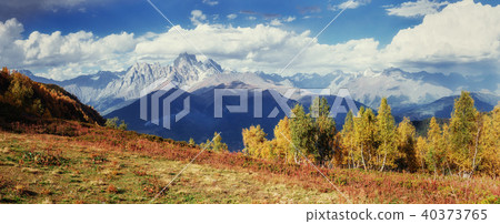 Autumn landscape and snowy mountain peaks. 40373765