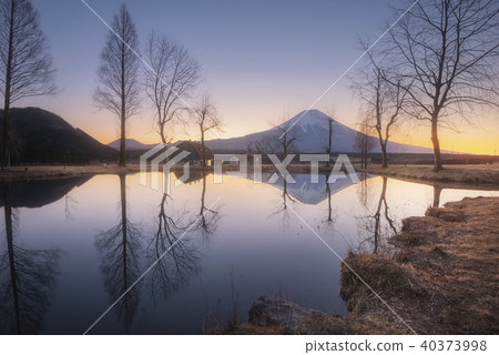 Mt.Fuji in early morning at Fumotoppara, Japan 40373998