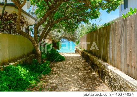 通往夏威夷Lanikai海灘的一條小街道 通往夏威夷Lanikai海灘的一條小街道 40374024