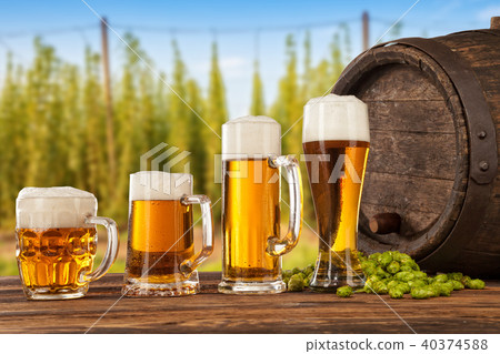 Beer glasses with hop-field on background Beer glasses with hop-field on background 40374588