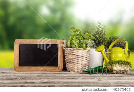 Fresh herbs in pots 40375405