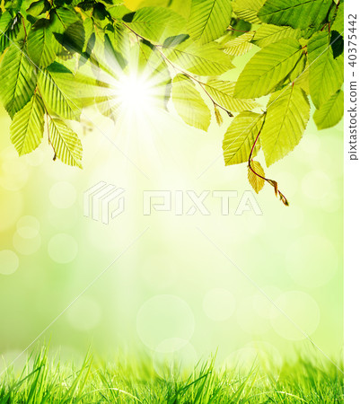 Natural background Natural background 40375442