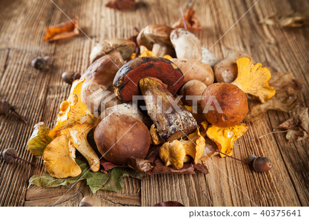 Mix of mushrooms on wooden planks Mix of mushrooms on wooden planks 40375641