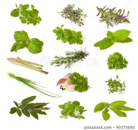 Various fresh herbs on white 40375698